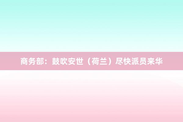 商务部：鼓吹安世（荷兰）尽快派员来华
